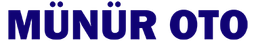 Bosch Car Service - Münür Oto logosu