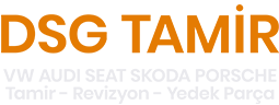 DSG TAMİR logosu
